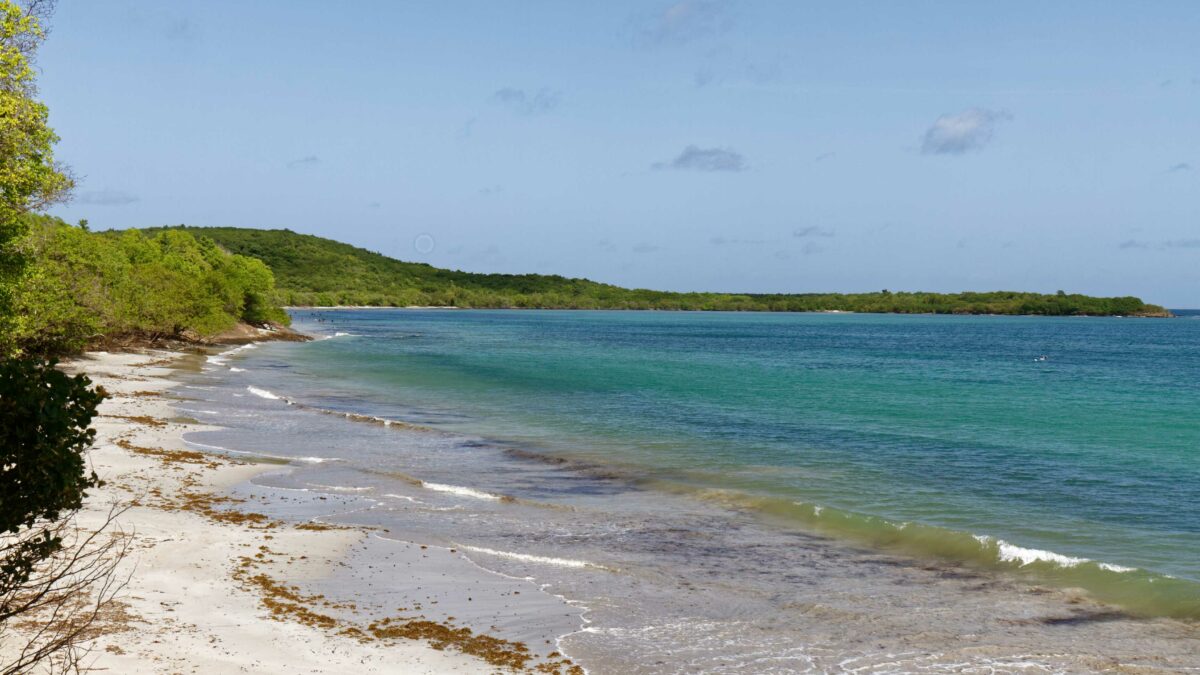 Anse Meunier (Anse Moustique)