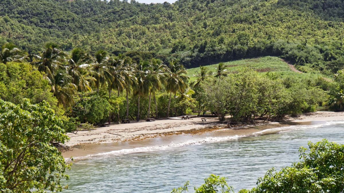 Anse la brèche