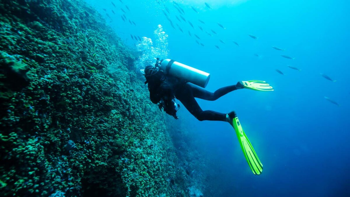 La plongée sous marine en Martinique