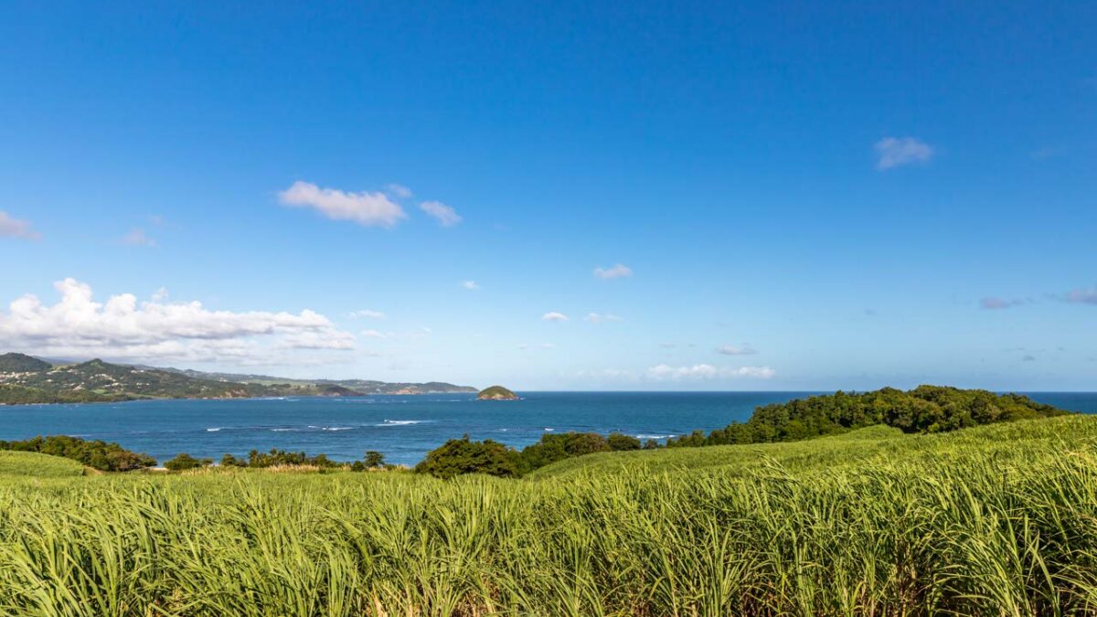 Tartane (Plage du bourg)